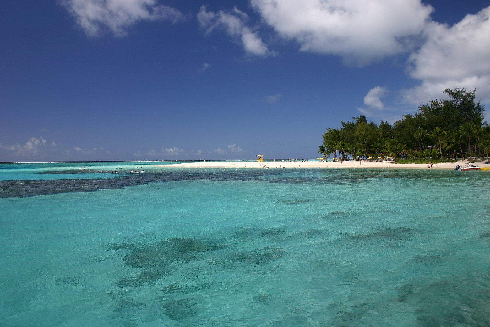 Coral Tree Avenue in Garapan, the commercial center of Saipan